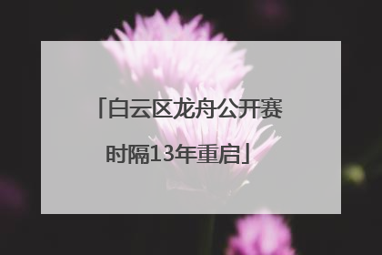 白云区龙舟公开赛时隔13年重启