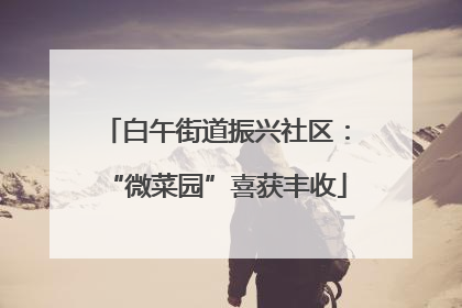 白午街道振兴社区：“微菜园”喜获丰收