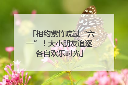 相约紫竹院过“六一”！大小朋友追逐各自欢乐时光
