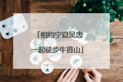 相约宁夏吴忠 一起徒步牛首山