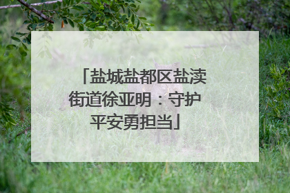 盐城盐都区盐渎街道徐亚明：守护平安勇担当