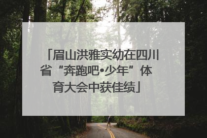 眉山洪雅实幼在四川省“奔跑吧•少年”体育大会中获佳绩