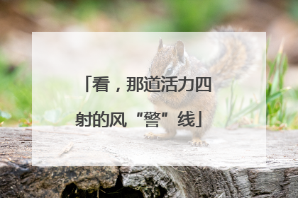 看，那道活力四射的风“警”线
