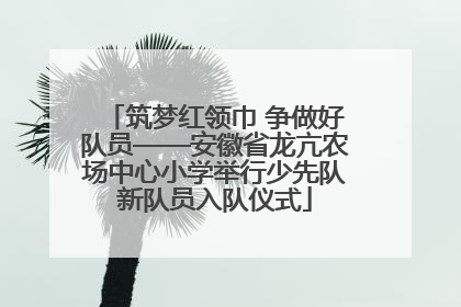 筑梦红领巾 争做好队员——安徽省龙亢农场中心小学举行少先队新队员入队仪式