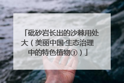 砒砂岩长出的沙棘用处大（美丽中国·生态治理中的特色植物③）