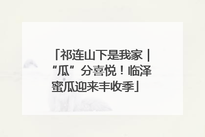 祁连山下是我家｜“瓜”分喜悦！临泽蜜瓜迎来丰收季