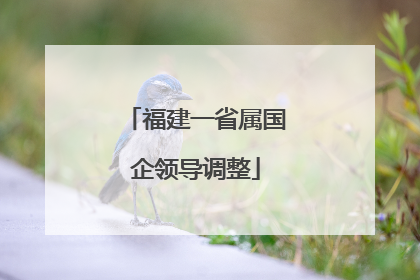 福建一省属国企领导调整