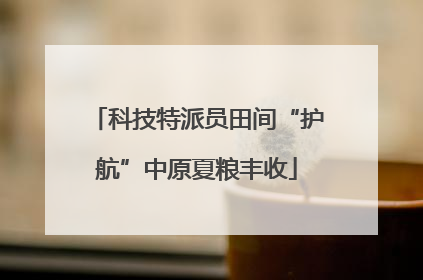 科技特派员田间“护航”中原夏粮丰收