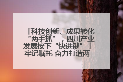 科技创新、成果转化“两手抓”，四川产业发展按下“快进键”丨牢记嘱托 奋力打造两高地两基地一屏障