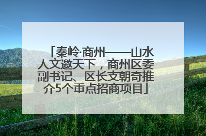 秦岭·商州——山水人文邀天下，商州区委副书记、区长支朝奇推介5个重点招商项目