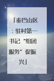 秦巴山区：驻村第一书记“组团服务”促振兴