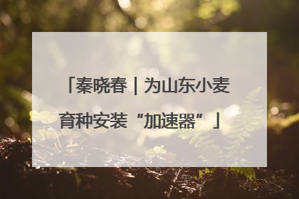 秦晓春｜为山东小麦育种安装“加速器”