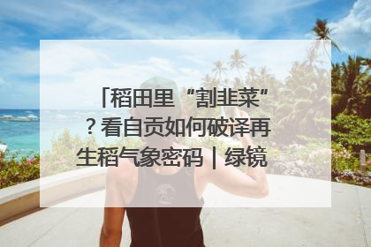稻田里“割韭菜”？看自贡如何破译再生稻气象密码｜绿镜头·发现中国