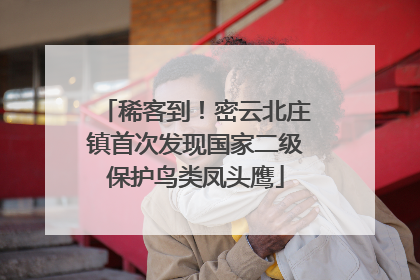 稀客到！密云北庄镇首次发现国家二级保护鸟类凤头鹰