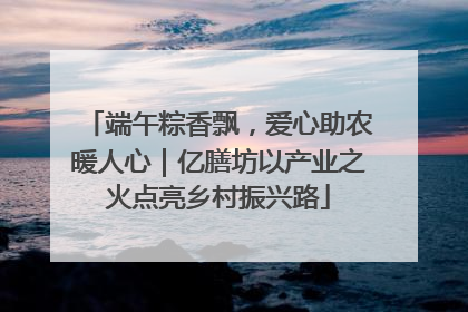 端午粽香飘，爱心助农暖人心｜亿膳坊以产业之火点亮乡村振兴路