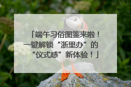 端午习俗图鉴来啦！一键解锁“浙里办”的“仪式感”新体验！