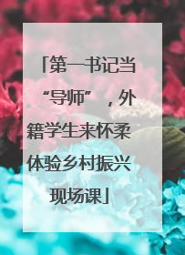 第一书记当“导师”，外籍学生来怀柔体验乡村振兴现场课