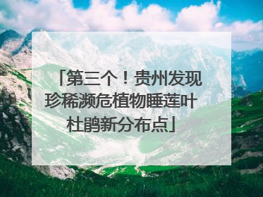 第三个！贵州发现珍稀濒危植物睡莲叶杜鹃新分布点