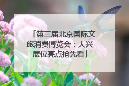 第三届北京国际文旅消费博览会：大兴展位亮点抢先看