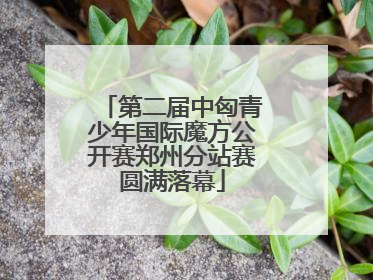 第二届中匈青少年国际魔方公开赛郑州分站赛圆满落幕