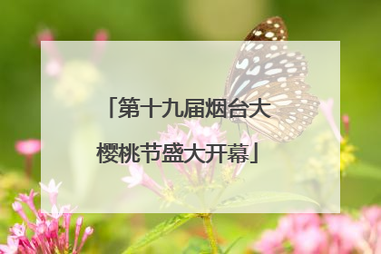 第十九届烟台大樱桃节盛大开幕