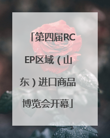 第四届RCEP区域（山东）进口商品博览会开幕