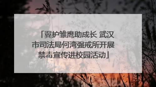 翼护雏鹰助成长 武汉市司法局何湾强戒所开展禁毒宣传进校园活动