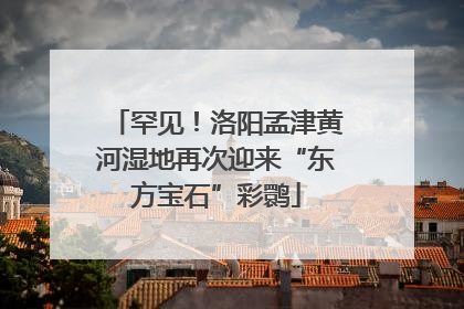 罕见！洛阳孟津黄河湿地再次迎来“东方宝石”彩鹮