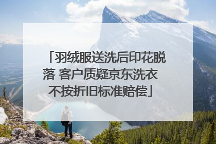 羽绒服送洗后印花脱落 客户质疑京东洗衣不按折旧标准赔偿