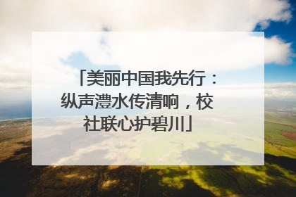 美丽中国我先行：纵声澧水传清响，校社联心护碧川