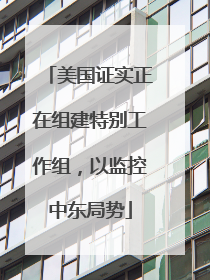 美国证实正在组建特别工作组，以监控中东局势