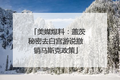 美媒爆料：盖茨秘密去白宫游说撤销马斯克政策