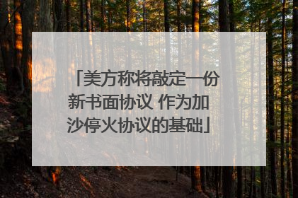 美方称将敲定一份新书面协议 作为加沙停火协议的基础