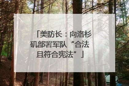 美防长：向洛杉矶部署军队“合法且符合宪法”