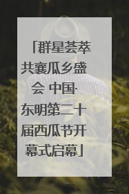 群星荟萃共襄瓜乡盛会 中国·东明第二十届西瓜节开幕式启幕