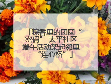 粽香里的团圆“密码” 太平社区端午活动架起邻里“连心桥”