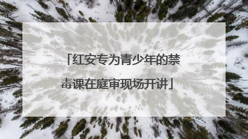 红安专为青少年的禁毒课在庭审现场开讲