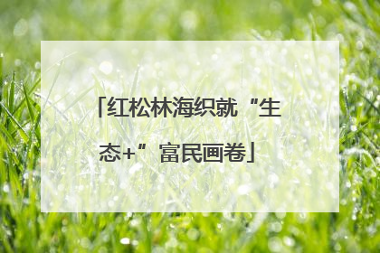 红松林海织就“生态+”富民画卷