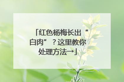 红色杨梅长出“白肉”？这里教你处理方法→