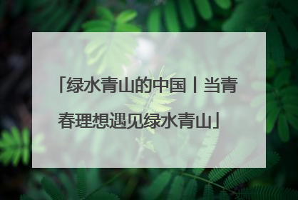 绿水青山的中国丨当青春理想遇见绿水青山