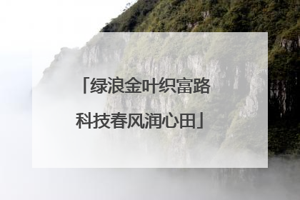 绿浪金叶织富路 科技春风润心田