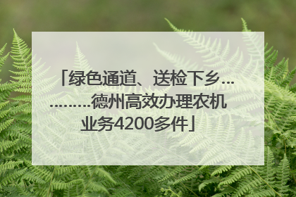 绿色通道、送检下乡…………德州高效办理农机业务4200多件