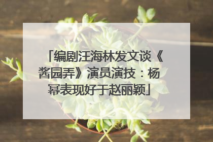 编剧汪海林发文谈《酱园弄》演员演技：杨幂表现好于赵丽颖