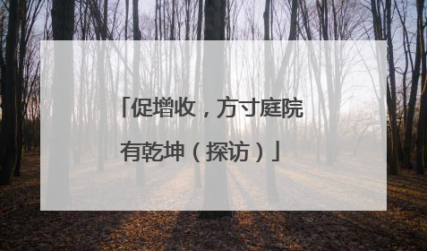 促增收，方寸庭院有乾坤（探访）