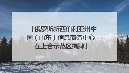 俄罗斯新西伯利亚州中国（山东）信息商务中心在上合示范区揭牌