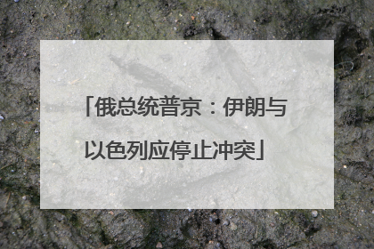 俄总统普京：伊朗与以色列应停止冲突