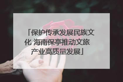 保护传承发展民族文化 海南保亭推动文旅产业高质量发展