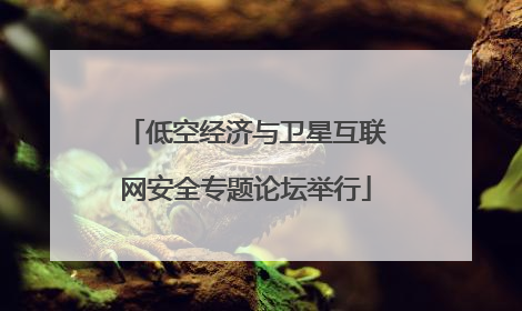 低空经济与卫星互联网安全专题论坛举行