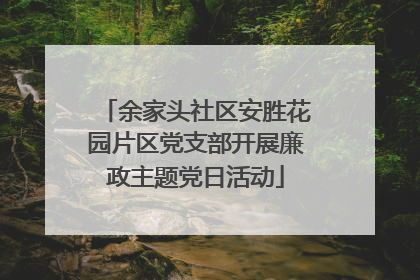 余家头社区安胜花园片区党支部开展廉政主题党日活动
