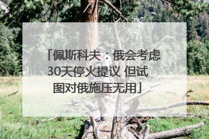 佩斯科夫：俄会考虑30天停火提议 但试图对俄施压无用